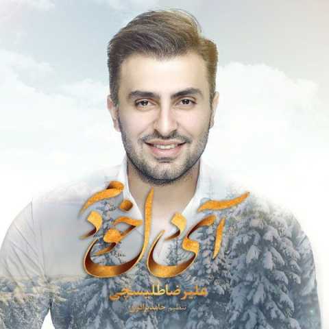 علیرضا طلیسچی ای دل خودم 