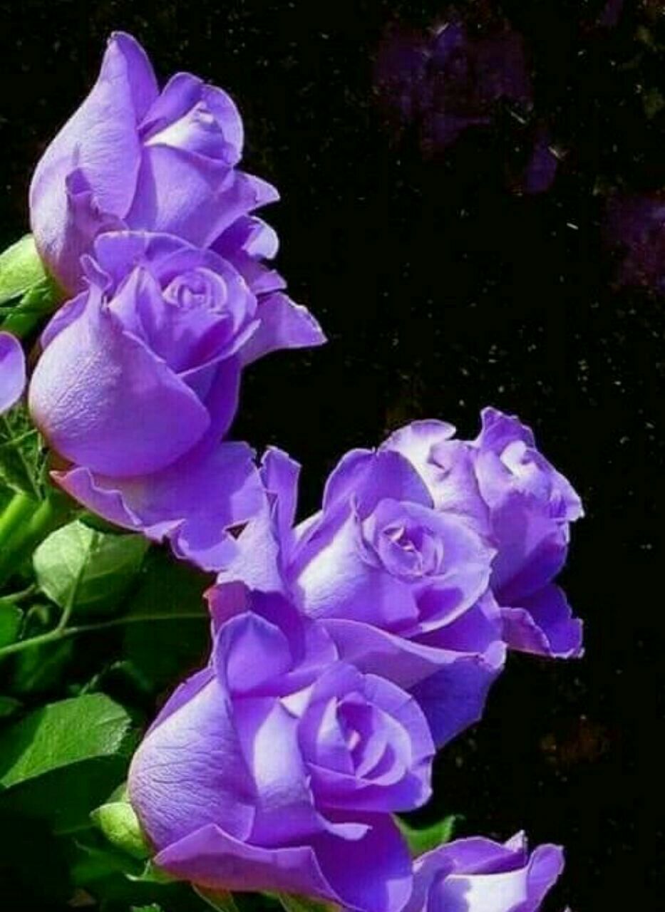  جهان ( ورژن هوش مصنوعی ) هوس باز