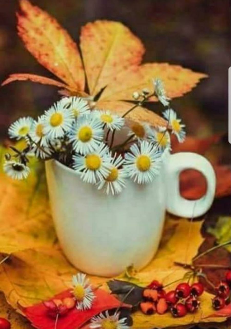  شادمهر عقیلی ( ورژن هوش مصنوعی) حبس