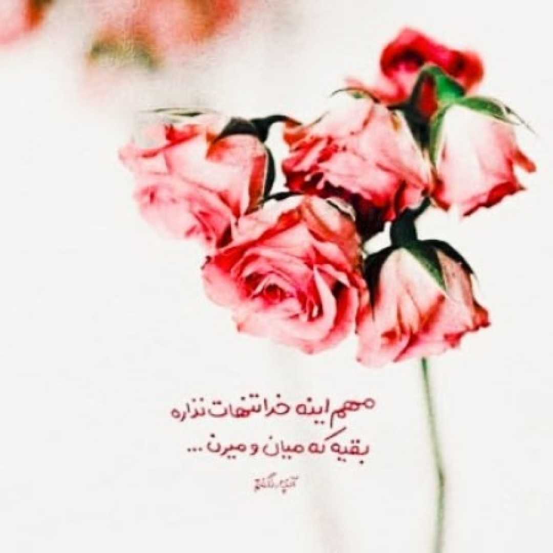  مهستی (ساخت هوش مصنوعی) تو گلی