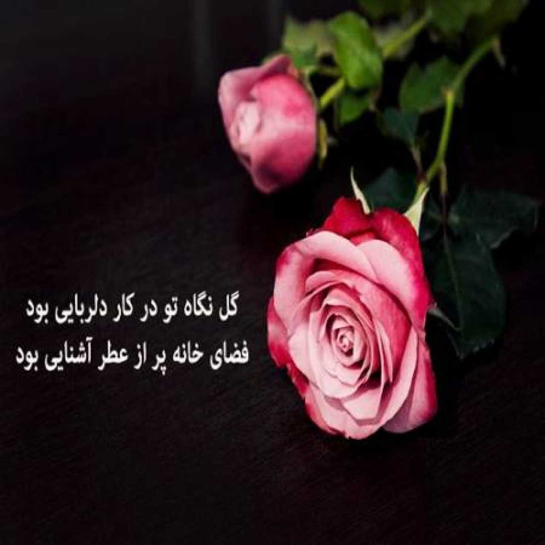 تورو جدا کردم از یه عالمه گل ساخت هوش مصنوعی 