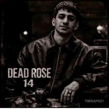 دانلود ریمیکس ویناک و خجسته و ناجی Dead Rose