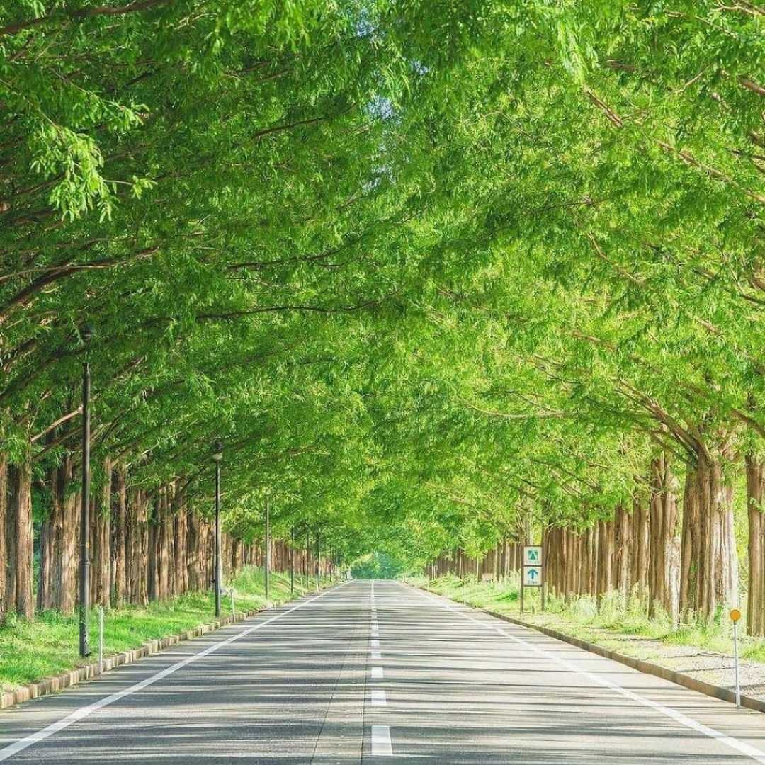 بمیرم ( ساخت هوش مصنوعی ) با صدای زن